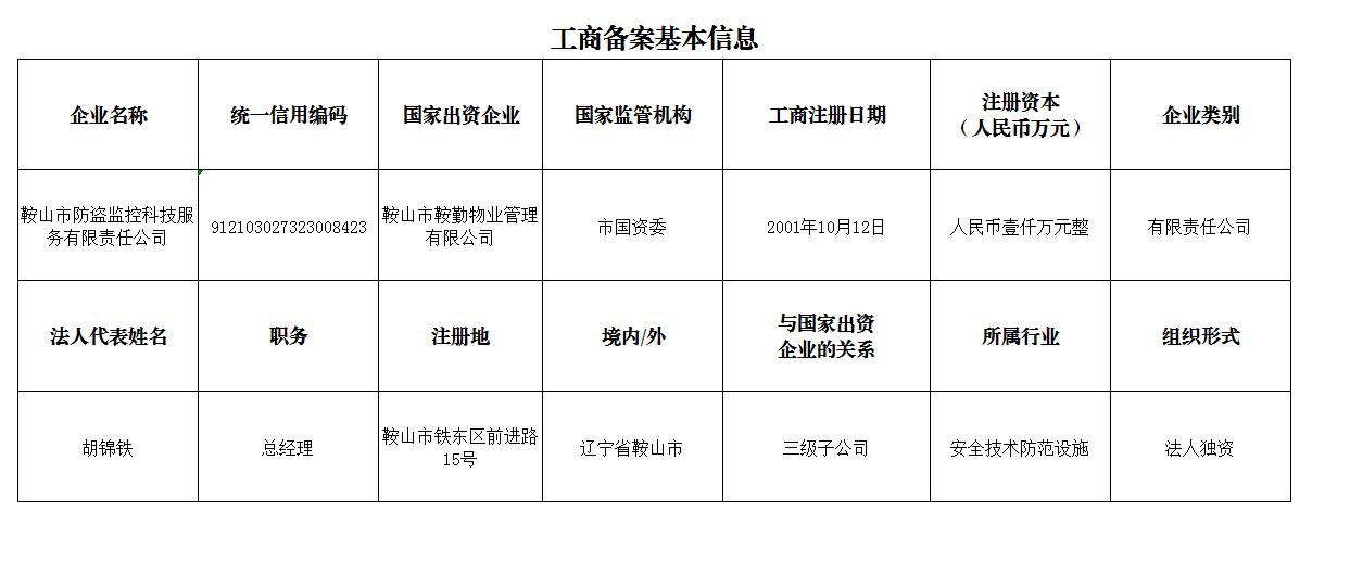 鞍山市防盜監(jiān)控科技服務(wù)有限責任公司